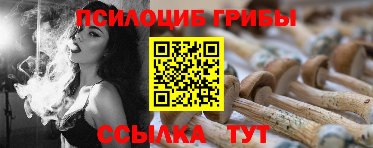 Псилоцибиновые грибы мухоморы Будённовск