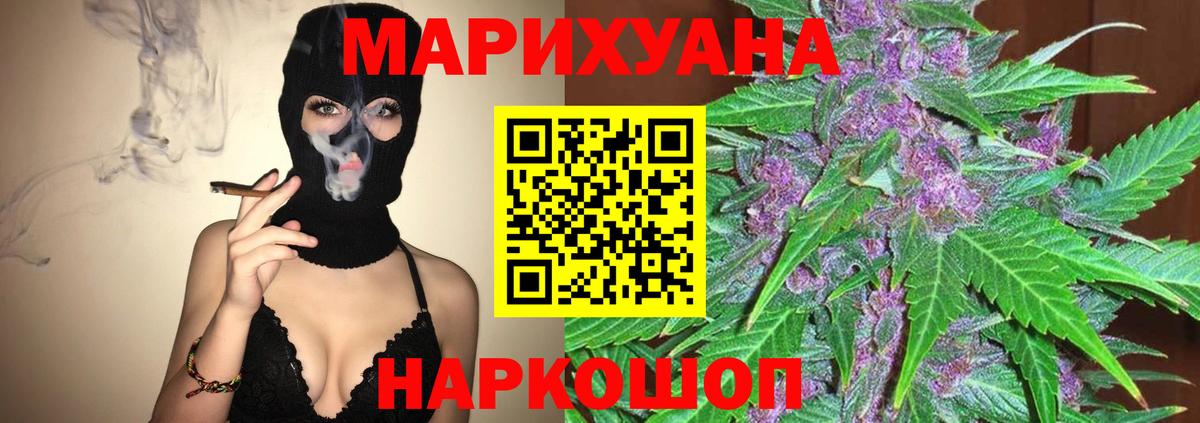 Бошки марихуана план Будённовск